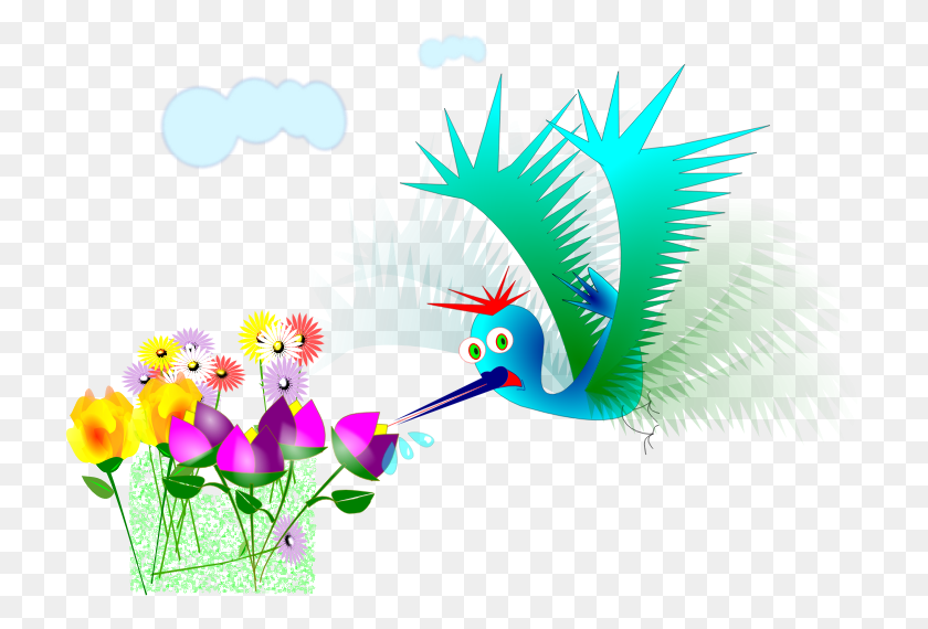 721x510 Colibrí Png / Colibrí Png