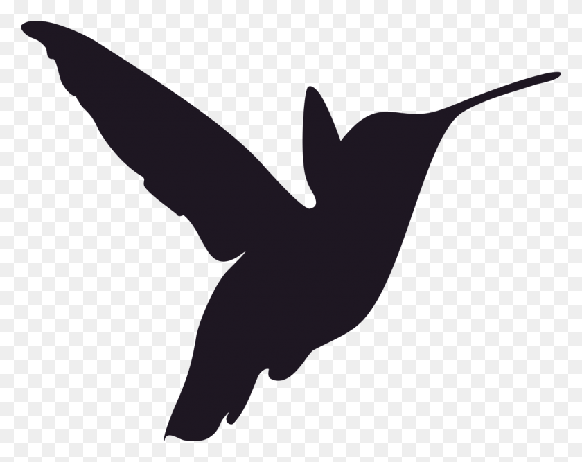 1280x997 Hummingbird Stencil Designs, Flying, Bird HD PNG Download