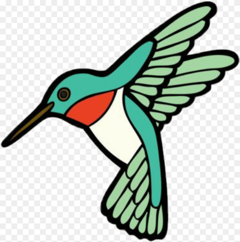 1024x1030 Hummingbird Sticker Sticker, Animal, Beak, Bird, Bee Eater Clipart PNG