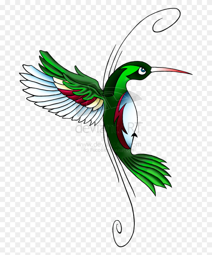 693x950 Hummingbird Tattoos Transparent Images All Hummingbird Tattoo Designs, Bird, Animal, Bee Eater HD PNG Download