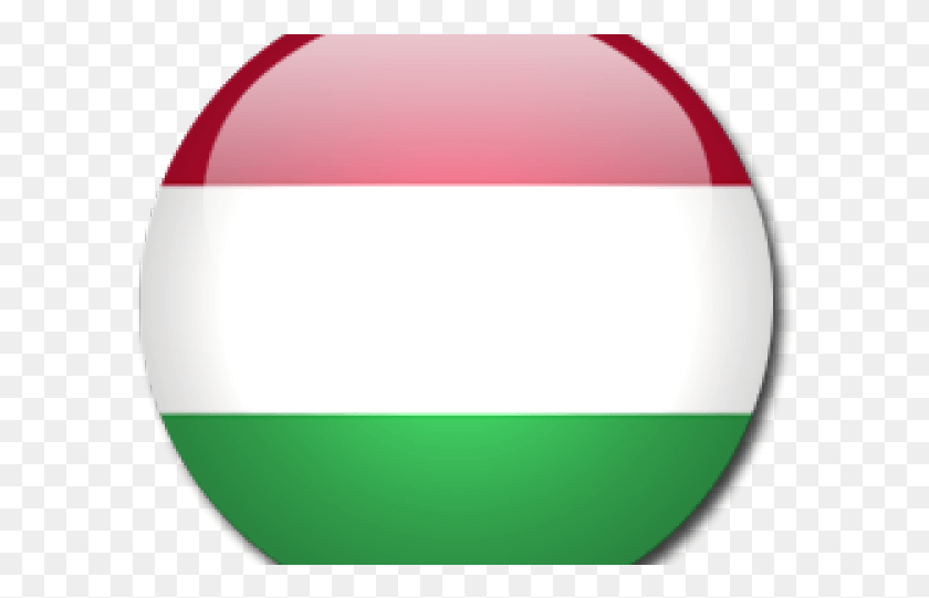 594x481 Hungary Flag Transparent Images Bitcoin Nederland, Logo, Symbol, Trademark HD PNG Download