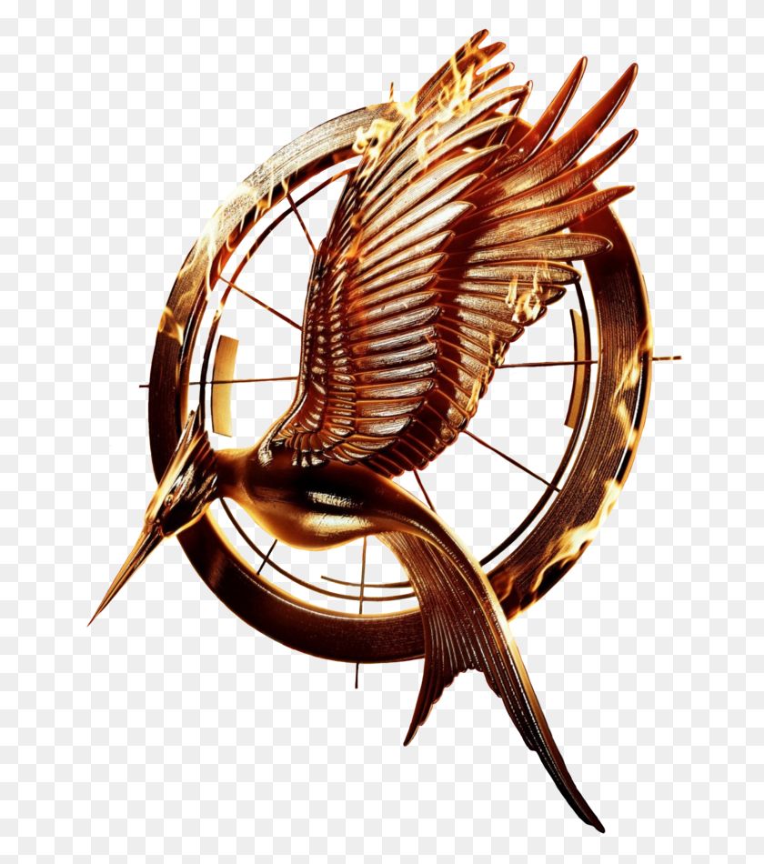 662x890 Hunger Games Catching Fire Logo, Sphere, Bronze, Pattern HD PNG Download