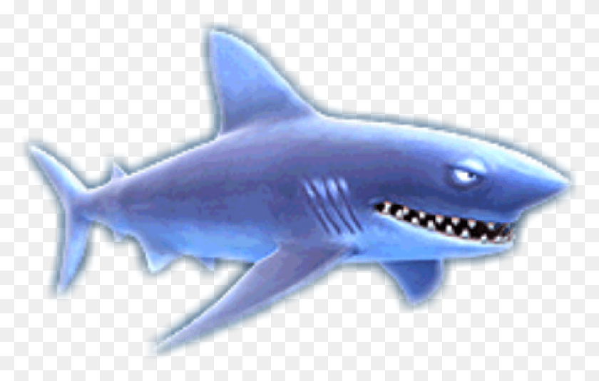 1778x1083 Hungry Shark Evolution All Sharks With Name, Sea Life, Fish, Animal HD PNG Download