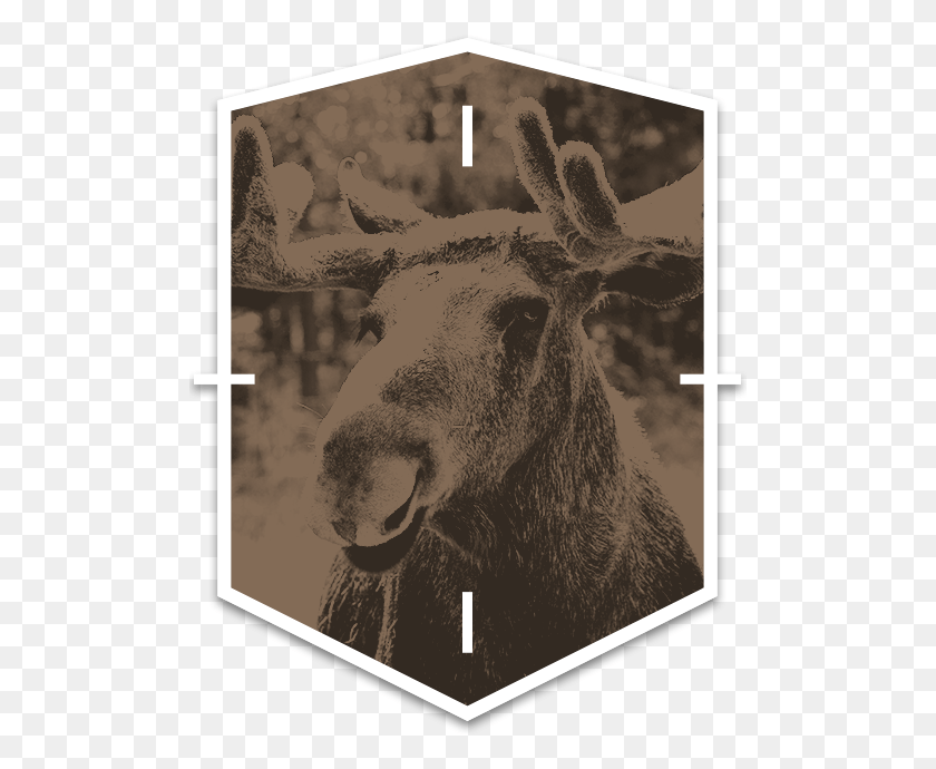 500x630 Hunting Packages Elk, Mammal, Animal, Wildlife HD PNG Download