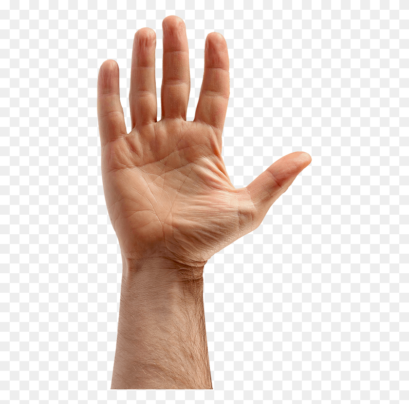 443x768 Hurt Hand Sign Language, Person, Human, Wrist HD PNG Download