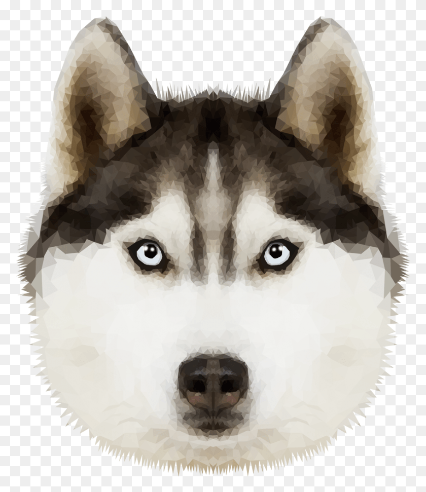 848x991 Husky Transparent Image Husky, Dog, Pet, Canine HD PNG Download
