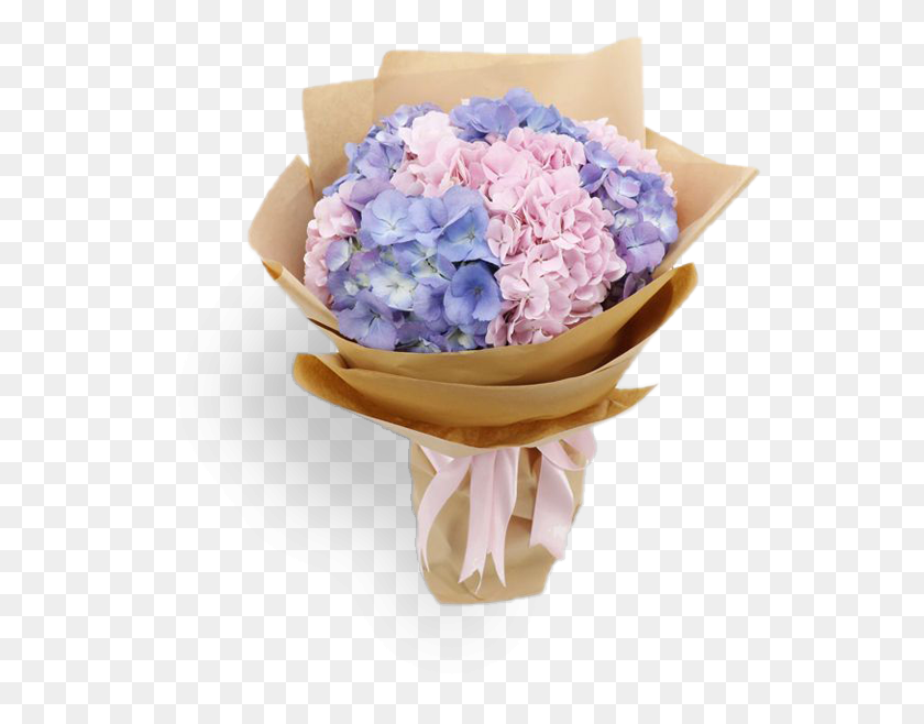 547x598 Hyacinth, Plant, Flower, Blossom HD PNG Download