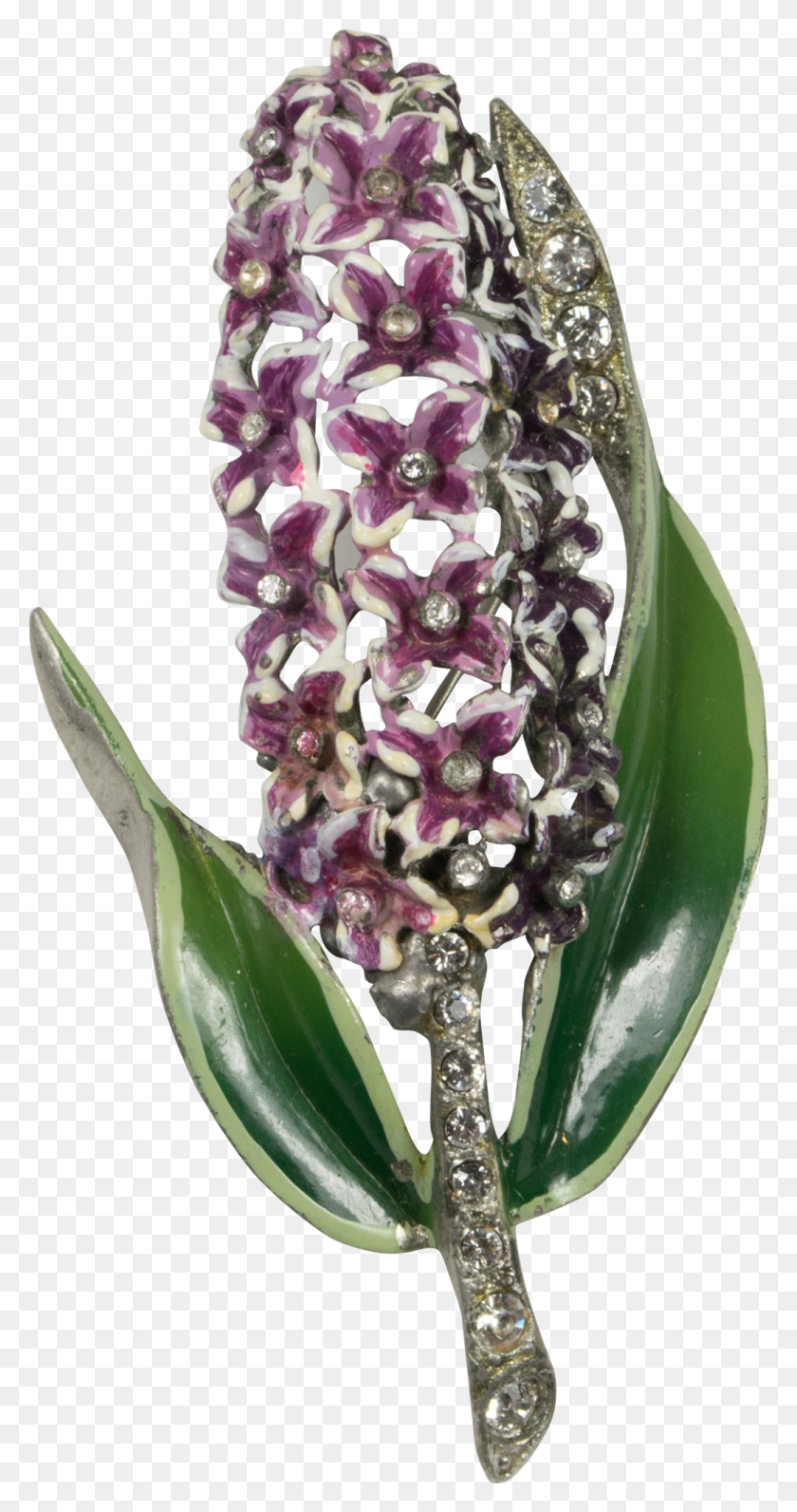 1043x2049 Hyacinth, Plant, Flower, Blossom HD PNG Download