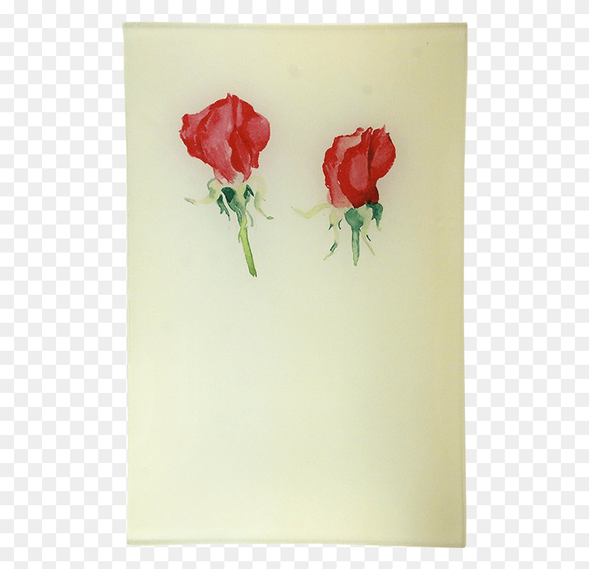 494x751 Чайно-Гибридная Роза, Современное Искусство, Цветок Hd Png Скачать