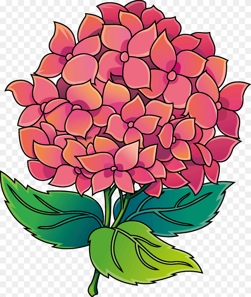 Hydrangea Clipart, Art, Petal, Pattern, Graphics Sticker PNG