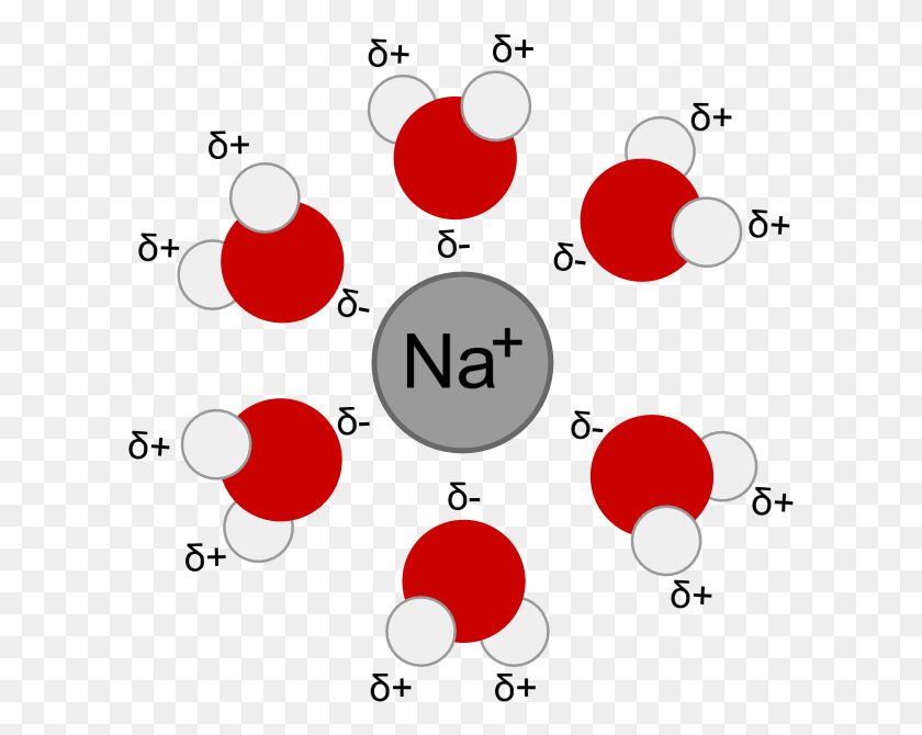 607x610 Hydrated Na H2o Cation Nacl In Water, Text, Juggling, Symbol HD PNG Download