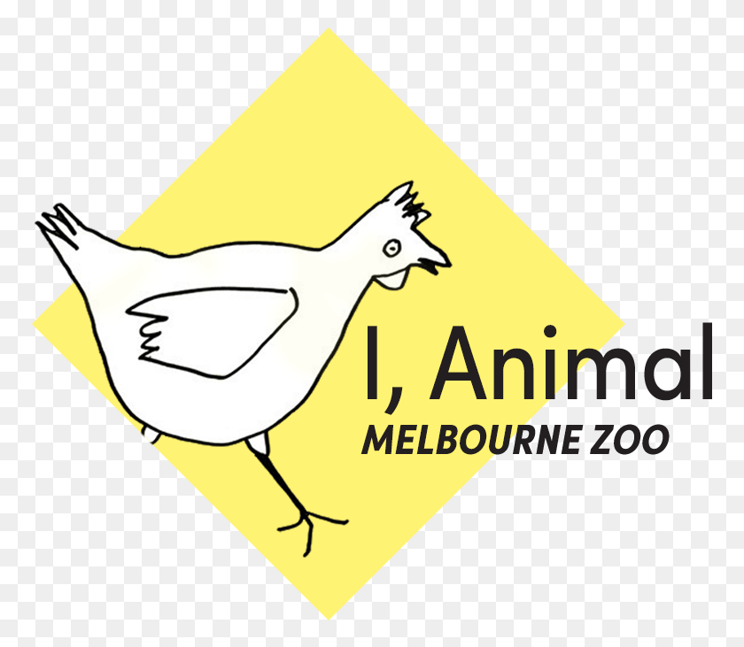 769x671 I Animal Melbourne Zoo Cartoon, Fowl, Bird, Poultry HD PNG Download