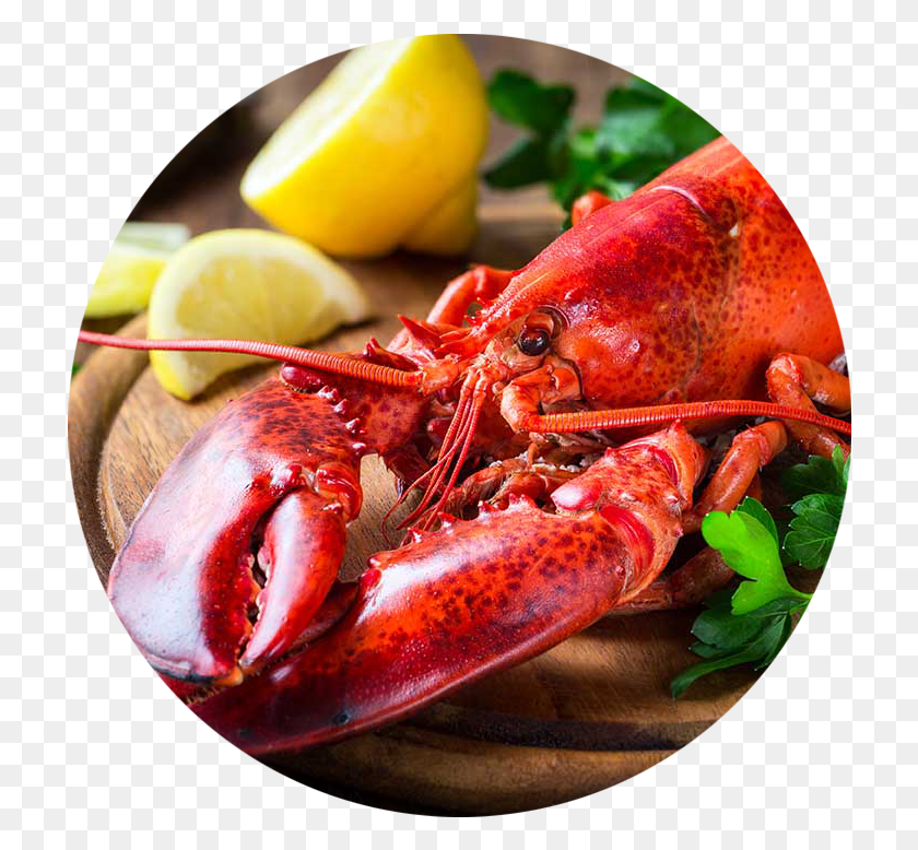 718x718 I Dream Of This Restaurant Lobster Restaurant, Seafood, Sea Life, Food HD PNG Download