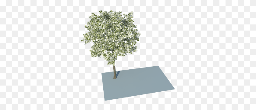 311x300 I Have Problem With Leaves Using Trees From Skatter Plane, Tree, Plant, Ornament HD PNG Download