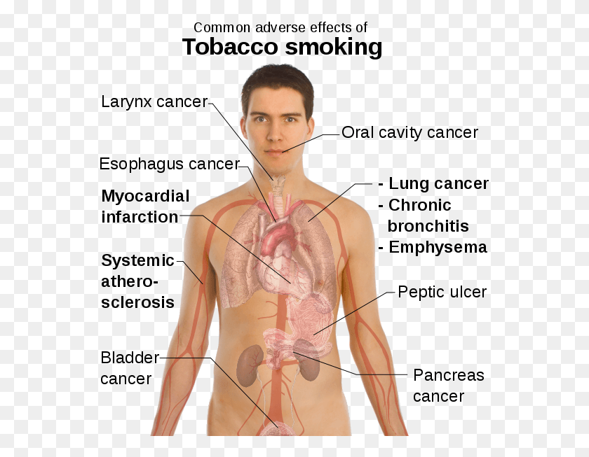 555x593 I Love My Tiranga Effects Of Tobacco, Person, Human, Plot HD PNG Download