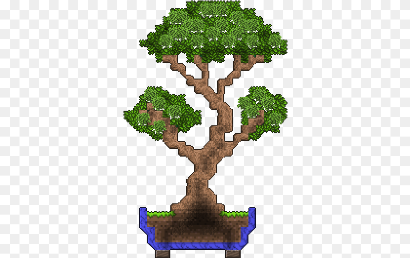 337x529 I Made A Bonsai Bonsai Tree Minecraft, Plant, Potted Plant, Person, Vegetation Transparent PNG