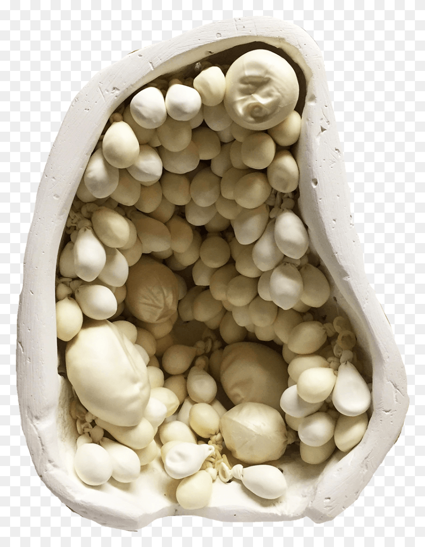 831x1087 I Mean You39re Not Even That Hungry Mushroom, Plant, Bean, Vegetable HD PNG Download