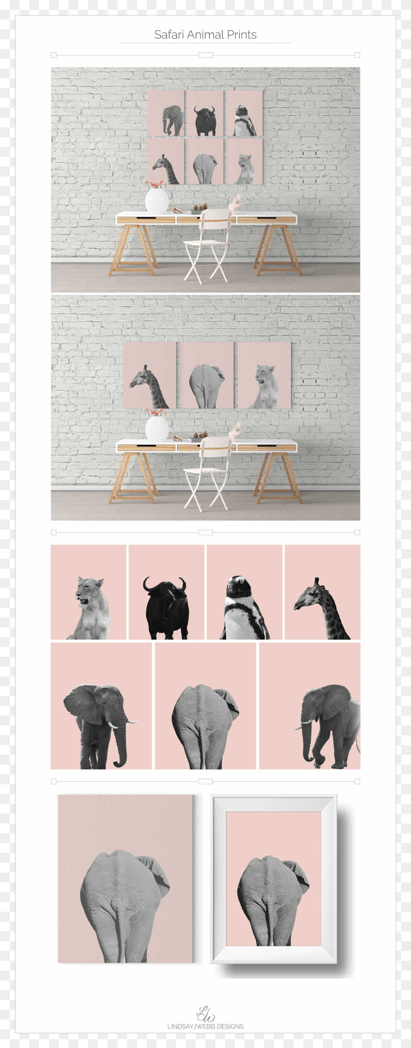 1472x3923 I Photographed The Animals While On Safari In South Chair, Collage, Poster, Advertisement HD PNG Download