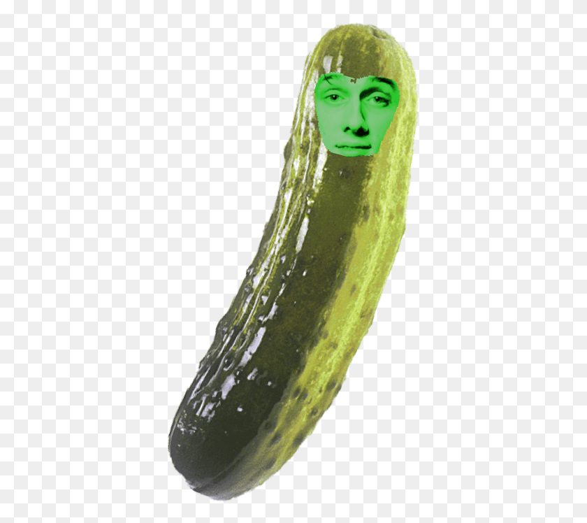363x688 I Turned Myself Into A Pickle Ryan I39m Pickle Matt Pickle, Food, Plant, Relish HD PNG Download