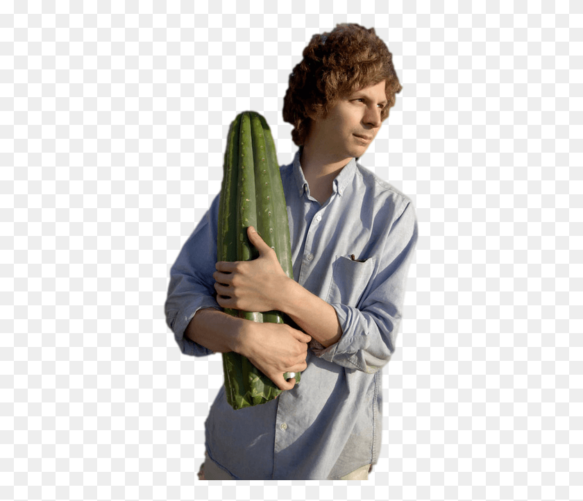 371x662 I Was Bored Michael Cera Cactus, Plant, Person, Human HD PNG Download