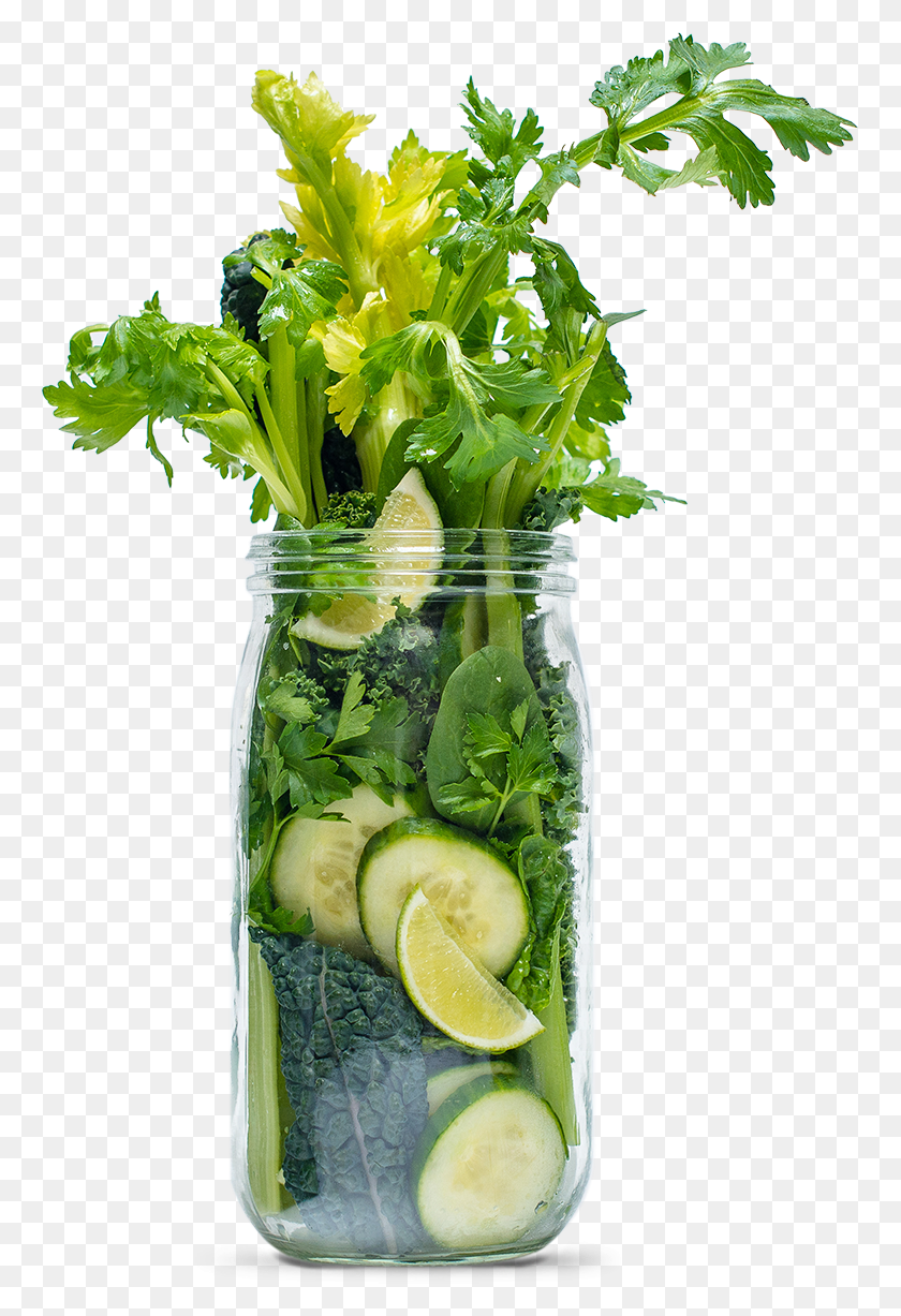 761x1167 I Was Sent Evolution Fresh For This Post National Green Juice Day, Plant, Vase, Jar HD PNG Download