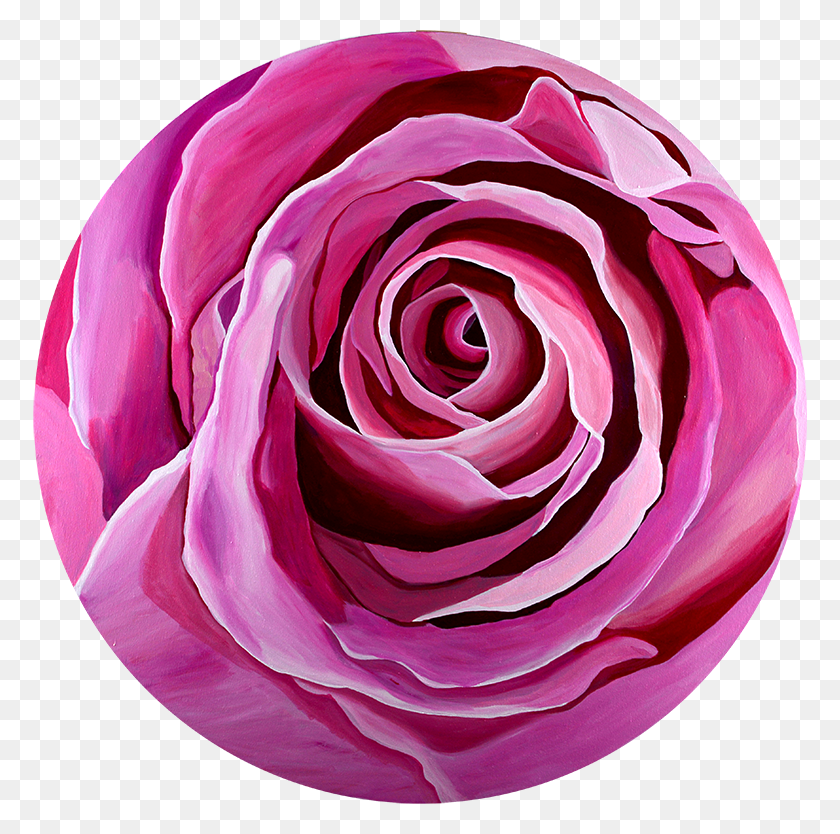 774x774 I Was Thrilled To Find This Tightly Curled Rose In Floribunda, Flower, Plant, Blossom HD PNG Download