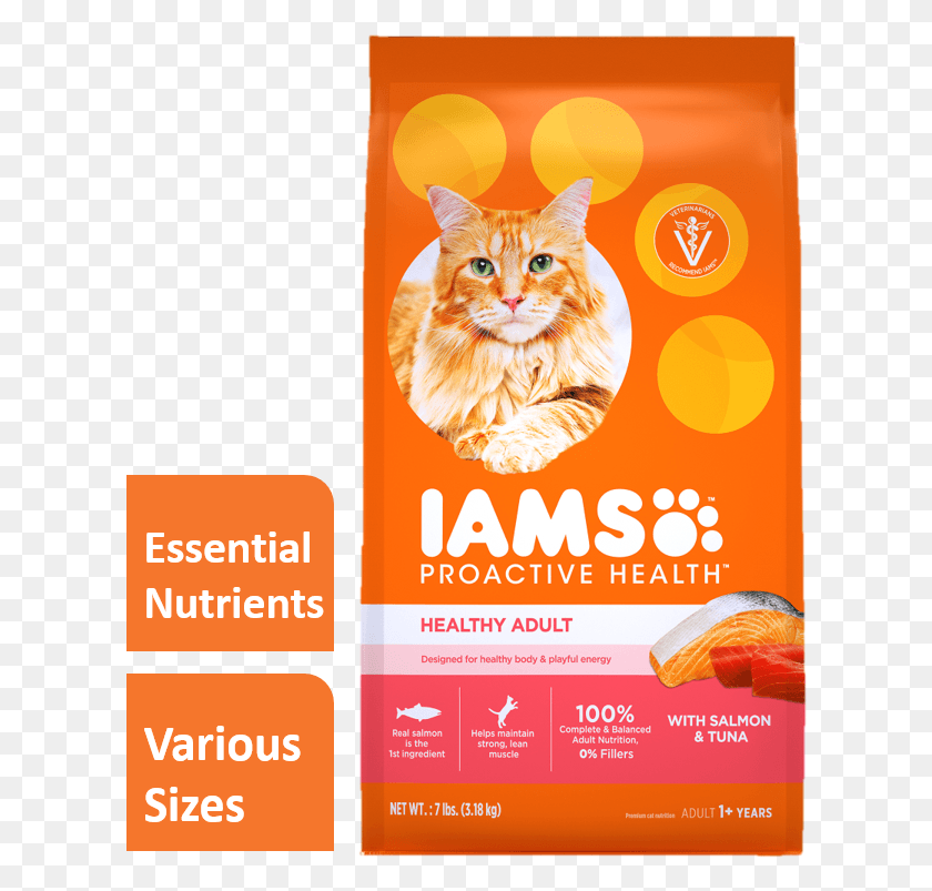 614x743 Iams Chicken Cat Food, Advertisement, Poster, Flyer HD PNG Download