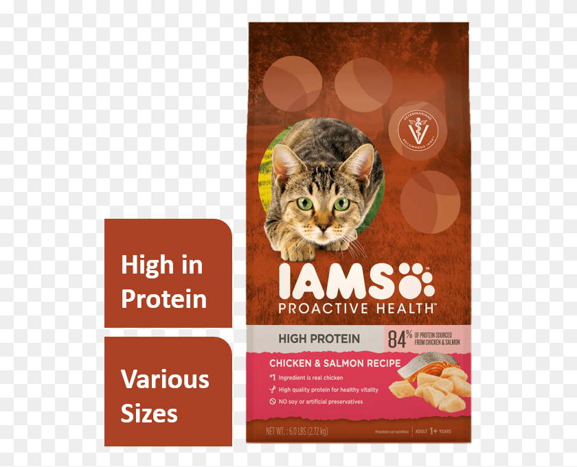 537x621 Iams Proactive Health, Advertisement, Poster, Flyer HD PNG Download