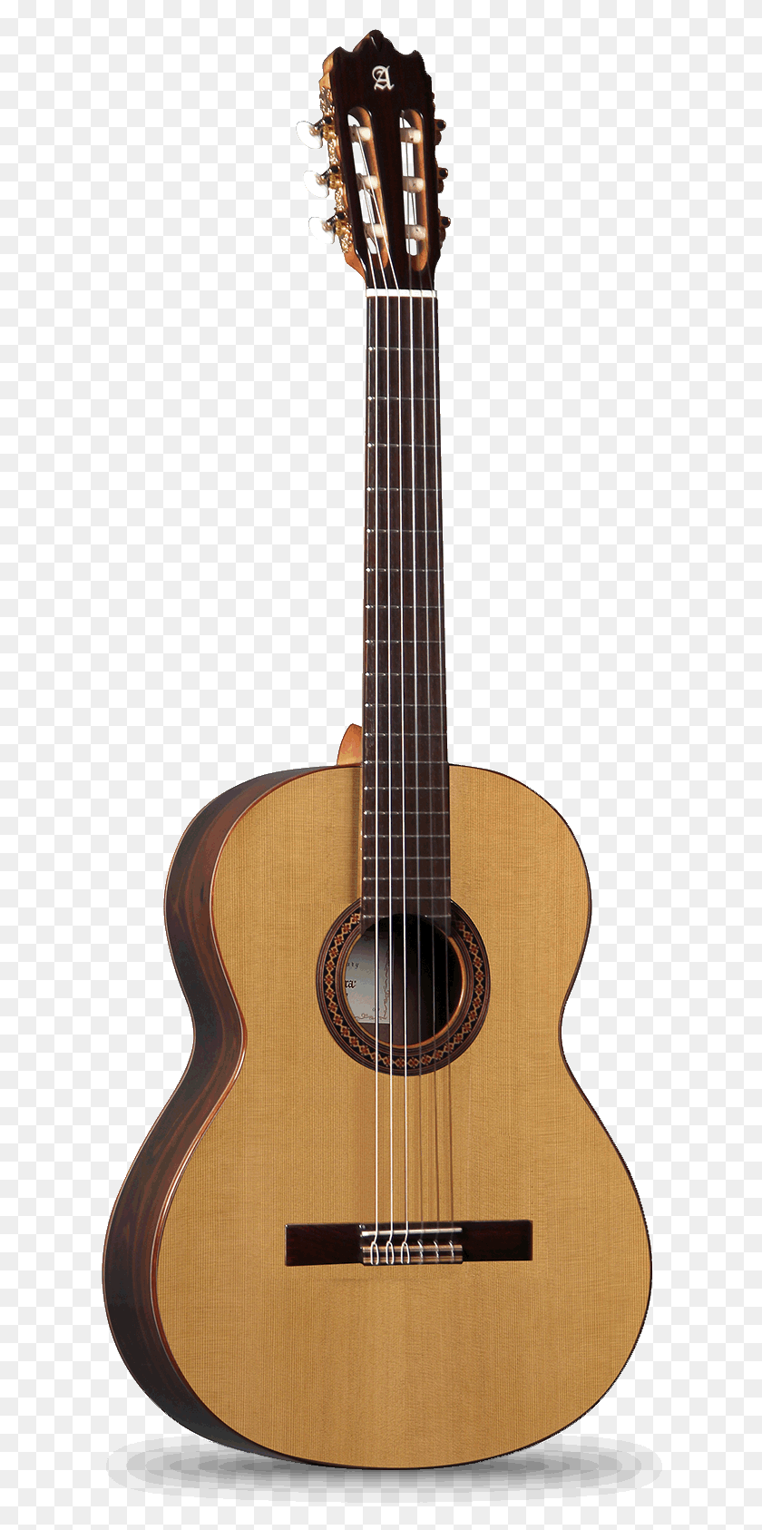 620x1626 Iberia Ziricote Modelo Alhambra Guitarras Alhambra Guitarra Cutaway, Actividades De Ocio, Instrumento Musical, Bajo Hd Png Descargar