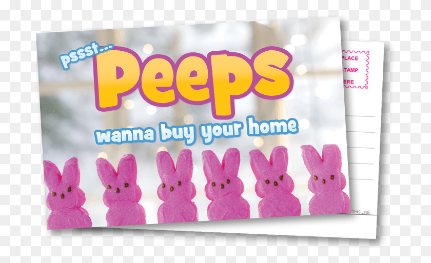 700x453 Ic Postcard Peeps Peeps Wanna Buy Your Home, Sweets, Food, Confectionery HD PNG Download