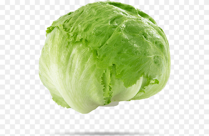 533x547 Iceberg Lettuce Iceberg Lettuce, Food, Produce, Plant, Vegetable Transparent PNG