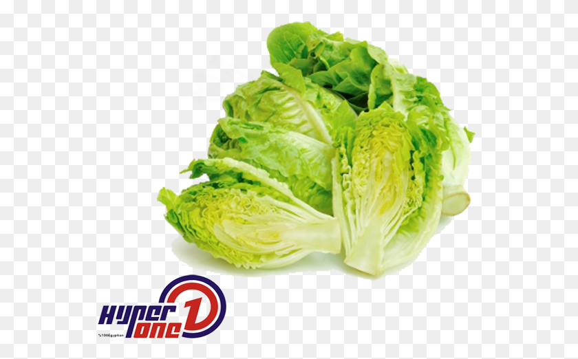 557x462 Iceburg Lettuce, Plant, Vegetable, Food HD PNG Download