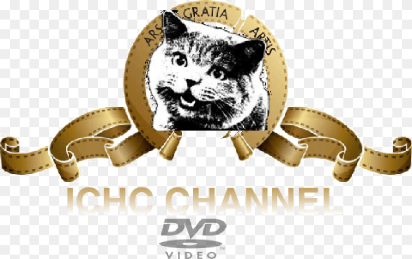 960x604 Ichc Channel Dvd Logo, Animal, Cat, Mammal, Pet Transparent PNG