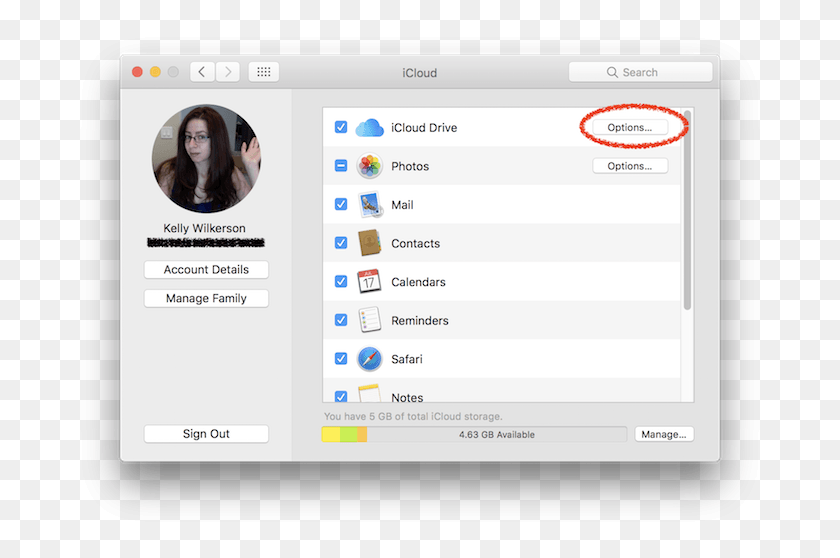 695x498 Icloud Preferences Macos Sierra Icloud Account Details Preferences, Person, Human, Text Hd Png Download