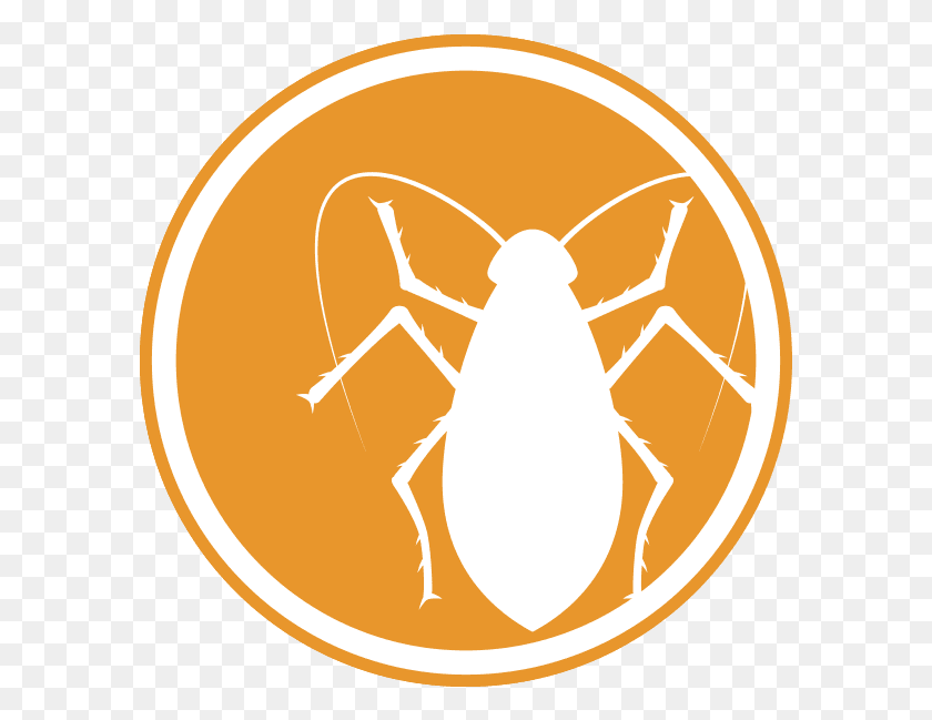 589x589 Icon Of A Roach Icon, Symbol, Logo, Trademark HD PNG Download
