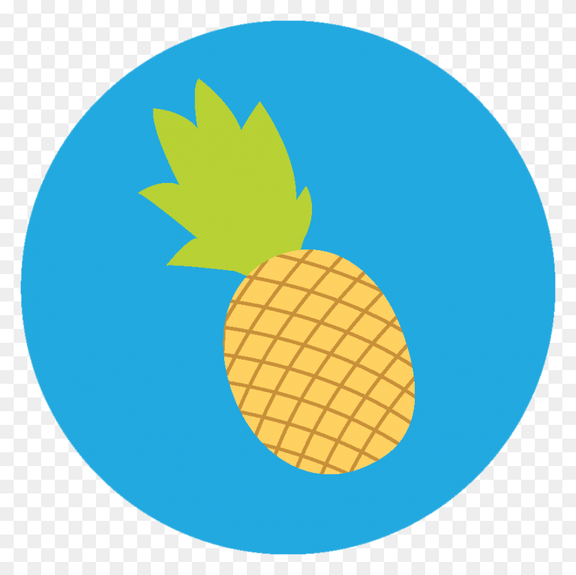 859x858 Icon Round Pineapple Pineapple Icon Circle, Plant, Fruit, Food HD PNG Download