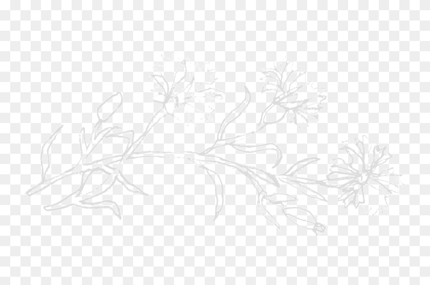 998x635 Большой Рисунок, Трафарет, Растение, Цветок Hd Png Скачать