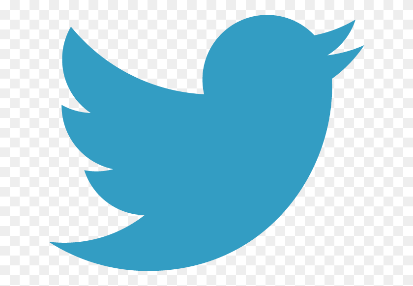 642x522 Iconos De Redes Sociales Sebtec Logo Twitter 2015, Shark, Sea Life, Fish HD PNG Download