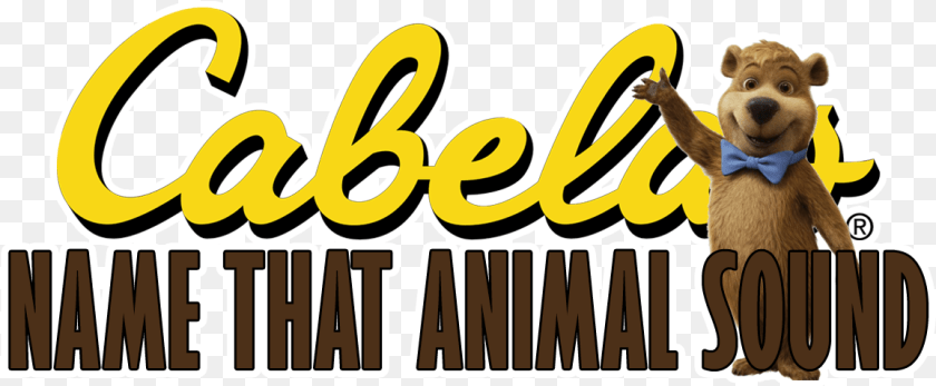 1154x477 Identify The Animal Sound And Win A 25 Cabela S Gift, Bear, Mammal, Wildlife Transparent PNG