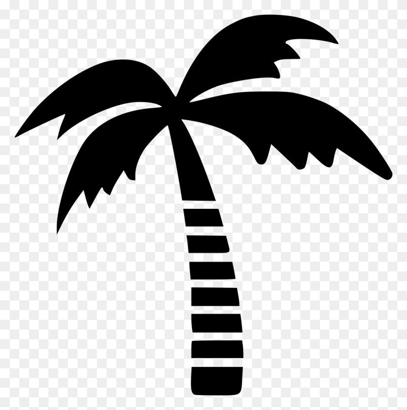 980x988 Ides Dimages De Coconut Tree Drawing Векторный Логотип Кокосовой Пальмы, Трафарет, Топор, Инструмент Hd Png Скачать