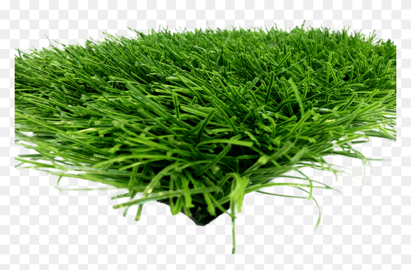 1216x768 Idna X Lawn, Plant, Grass, Vegetation HD PNG Download
