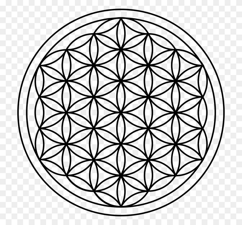 720x720 If We Look Close Enough We Can Often See Patterns Flower Of Life, Gray, World Of Warcraft HD PNG Download
