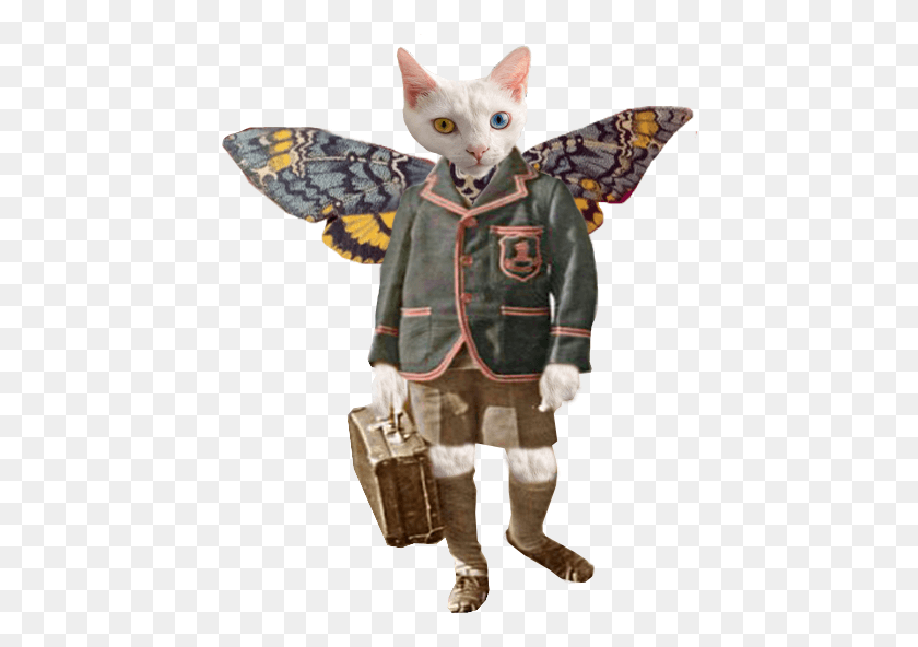436x532 If You Happen To Find Yourself Needing A School Boy Sphynx, Person, Human, Costume HD PNG Download