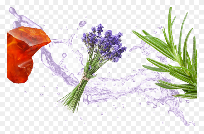 1534x970 Если Вам Нравится Лаванда, Вы Также Любите Фон Прозрачную Воду, Растение, Цветок, Цветение Hd Png Скачать