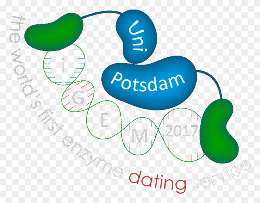 1146x880 Igem Potsdam, Text, Number, Symbol HD PNG Download