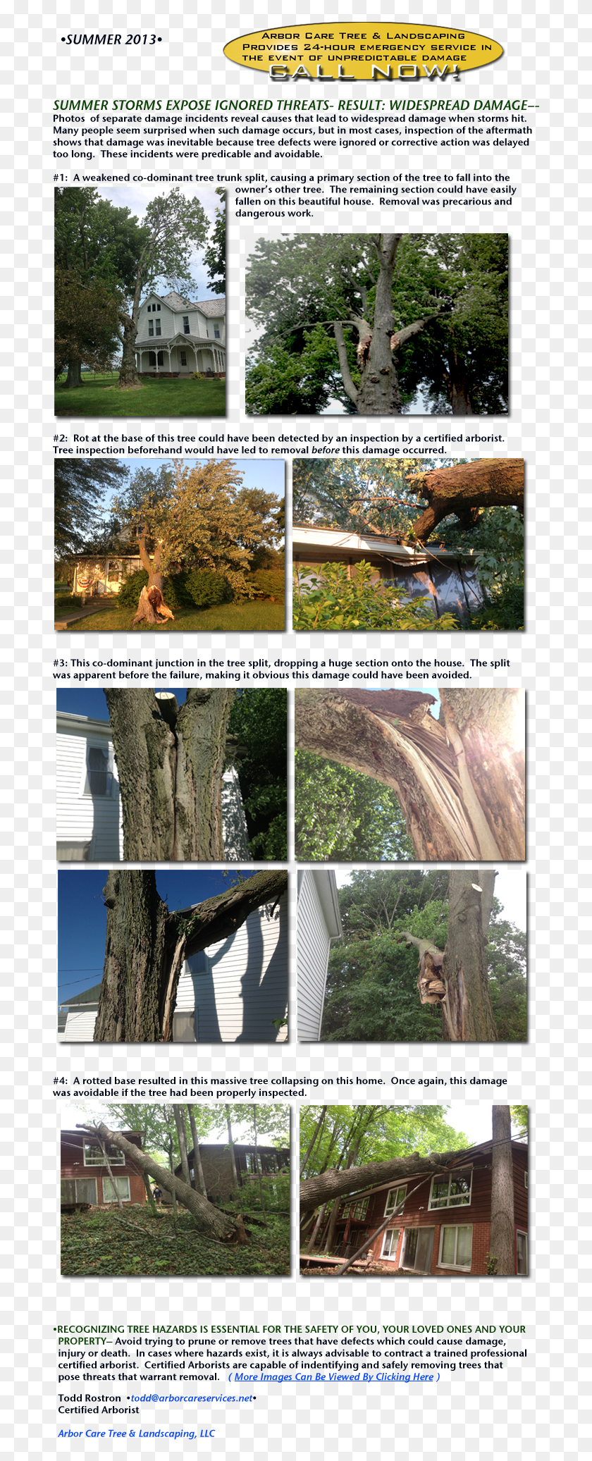 691x2013 Ignored Threats Summer Pond Pine, Collage, Poster, Advertisement HD PNG Download