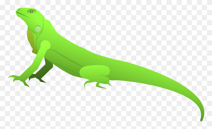 1306x756 Descargar Png / Iguana Carolina Anole, Gecko, Lagarto, Reptil Hd Png