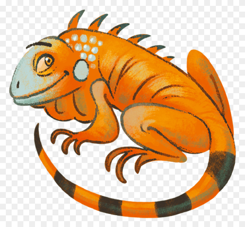 991x916 Iguana Clipart Orange Animale Animaterra, Lizard, Reptile, Animal HD PNG Download