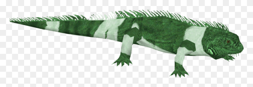 824x245 Iguana Verde Iguana, Animal, Reptil, Pez Hd Png