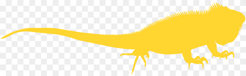 1920x591 Iguana Silhouette, Animal, Lizard, Reptile, Dinosaur Clipart PNG